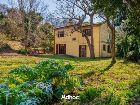 Piano Terra - Giardino