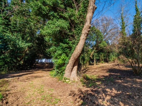 Piano Terra - Giardino