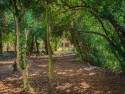 Piano Terra - Giardino