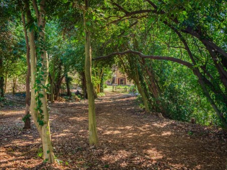 Piano Terra - Giardino