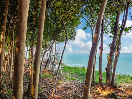 Piano Terra - Giardino