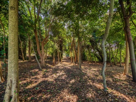 Piano Terra - Giardino