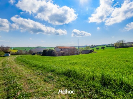 Piano Terra - Giardino
