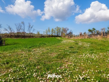 Piano Terra - Giardino