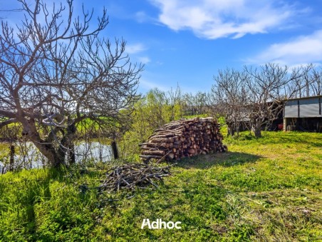 Piano Terra - Giardino