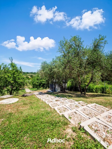 Piano Terra - Giardino