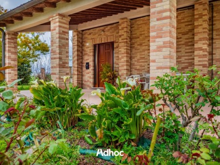 Piano Terra - Esterno