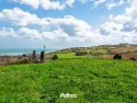Piano terra - Giardino