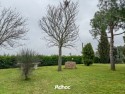 Piano terra - Giardino