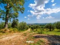 Piano terra - Giardino